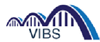 VIBS INFOSOL PVT. LTtd logo