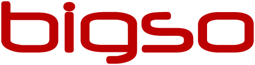 bigso logo