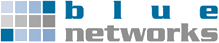 blue networks logo