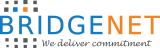 Bridgenet Solutions Logo