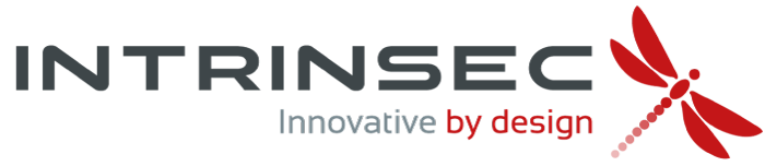 Intrinsec logo
