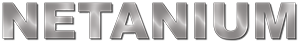 Netanium Network Security, Inc logo