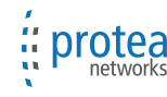 protea networks logo