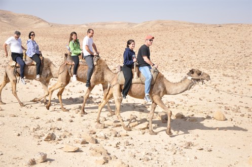 One time experience riding a Camel One time experience riding a Camel