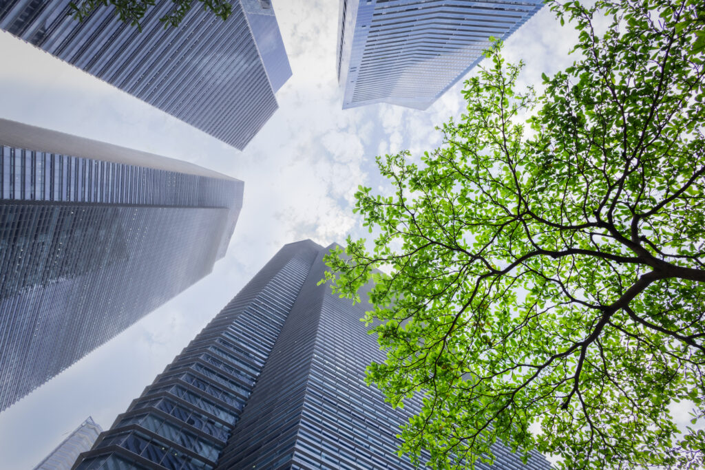 Tufin blog - Tufin Achieves 2024 ESG Targets with Reduced Carbon Emissions